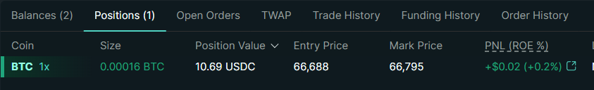 Open position visible in the Positions tab with live PnL and margin details